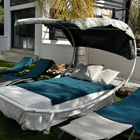 Palmera Villa *