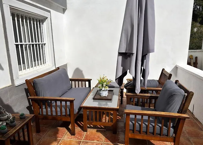 Palmera * Alhaurín de la Torre