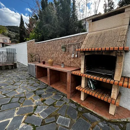 Palmera Villa Alhaurín de la Torre
